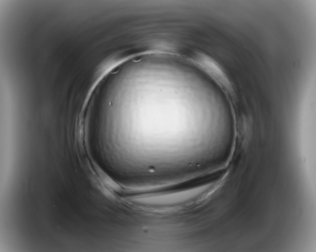 X0000086261292200704122003