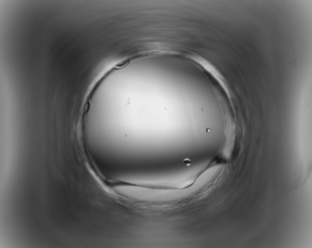 X0000086261293200704122003