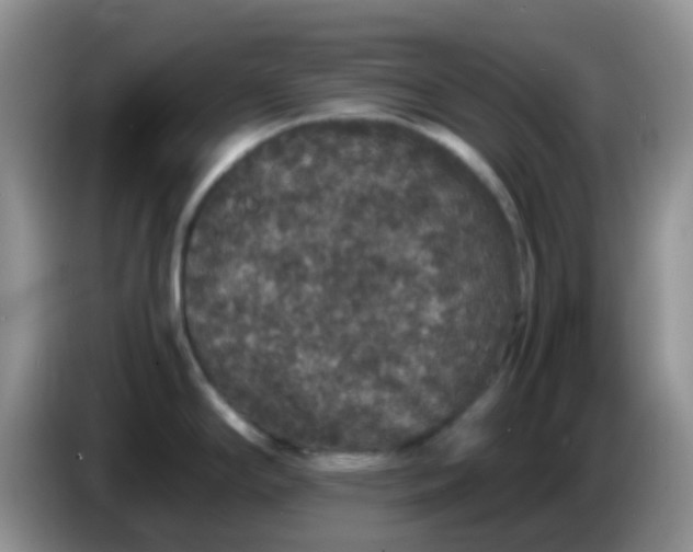 X0000086261294200704122003