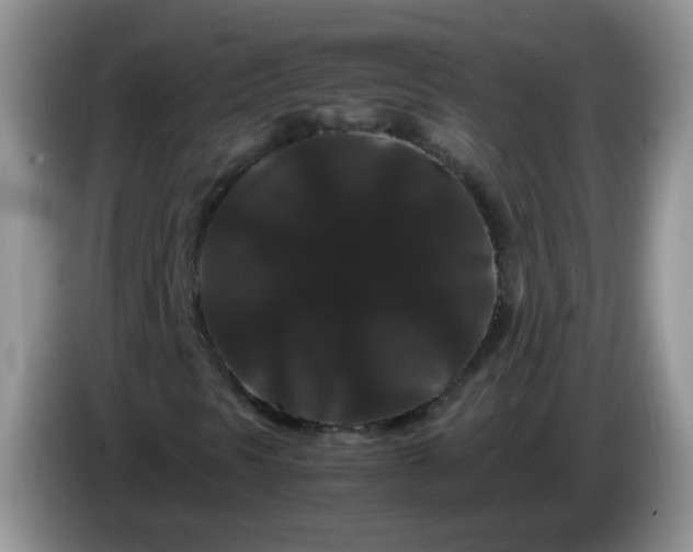 X0000086261297200704122003