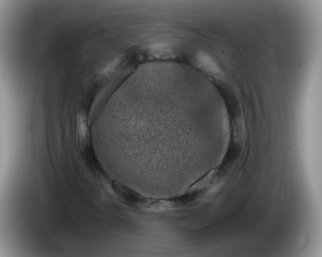 X0000086261298200704122003