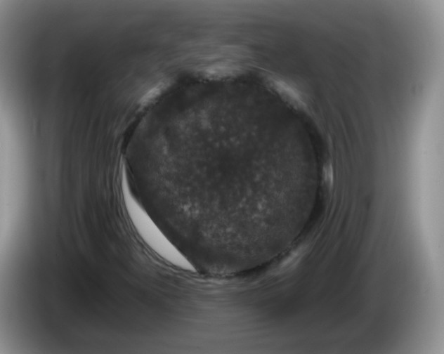 X0000086261300200704122003