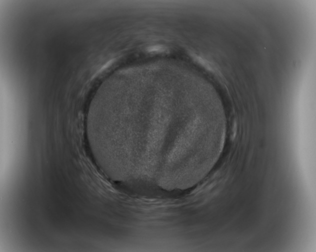 X0000086261301200704122003