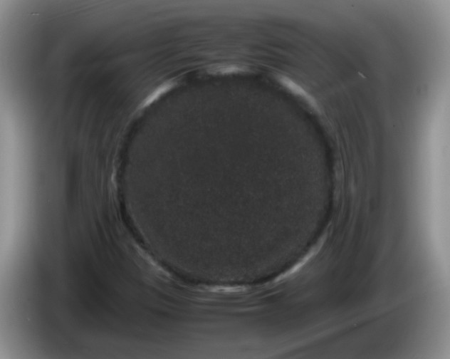 X0000086261305200704122003