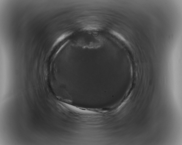 X0000086261306200704122003