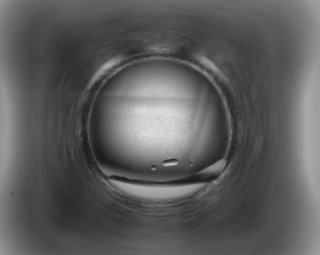 X0000086261307200704122003