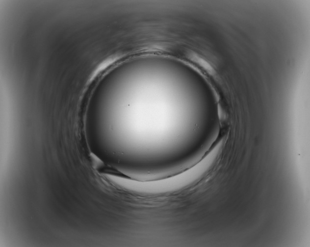X0000086261308200704122003