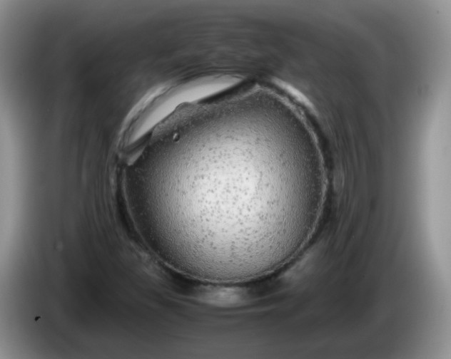 X0000086261309200704122003