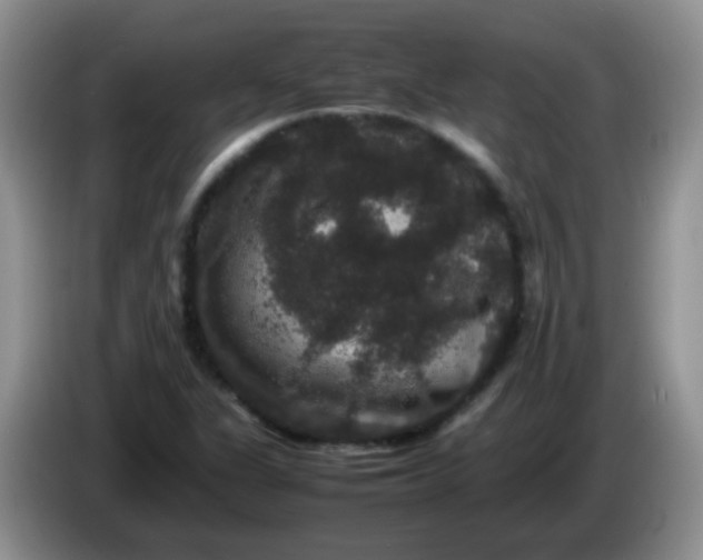 X0000086261311200704122003