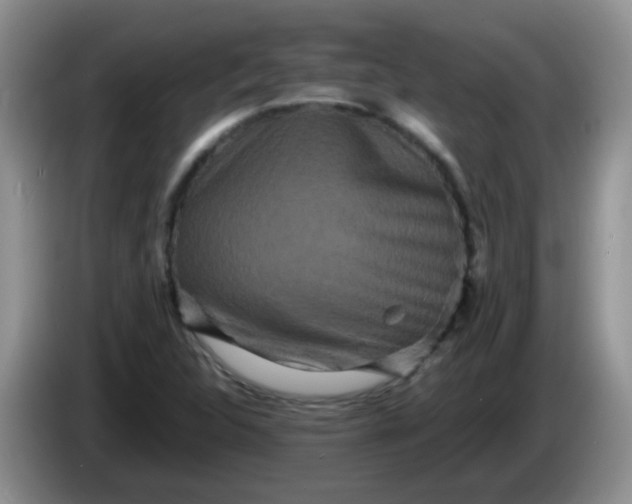 X0000086261312200704122003
