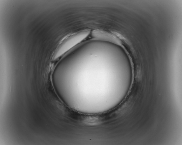 X0000086261313200704122003