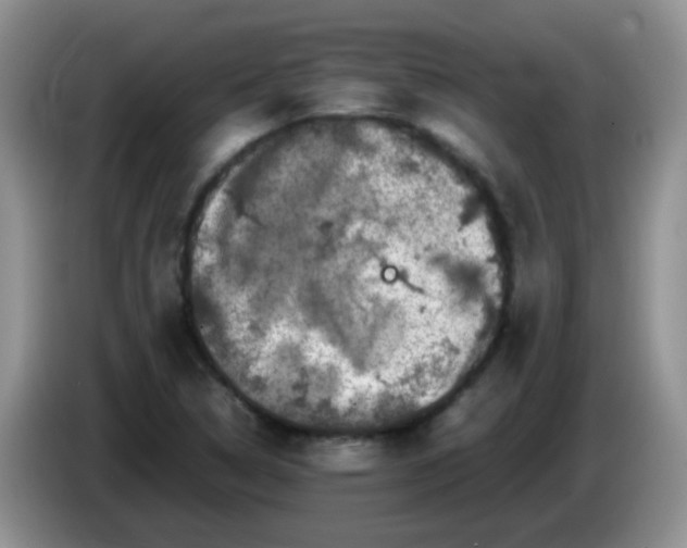X0000086261314200704122003