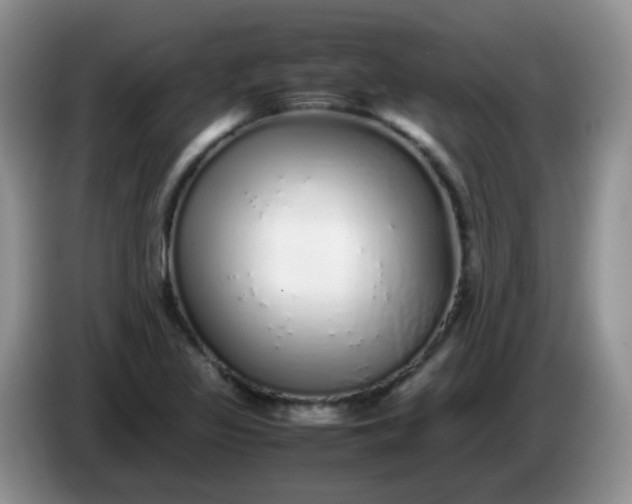 X0000086261317200704122003