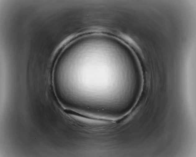 X0000086261318200704122003
