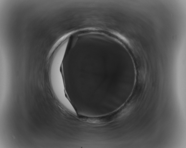 X0000086261319200704122003