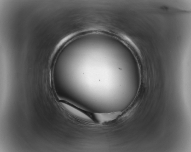 X0000086261320200704122003