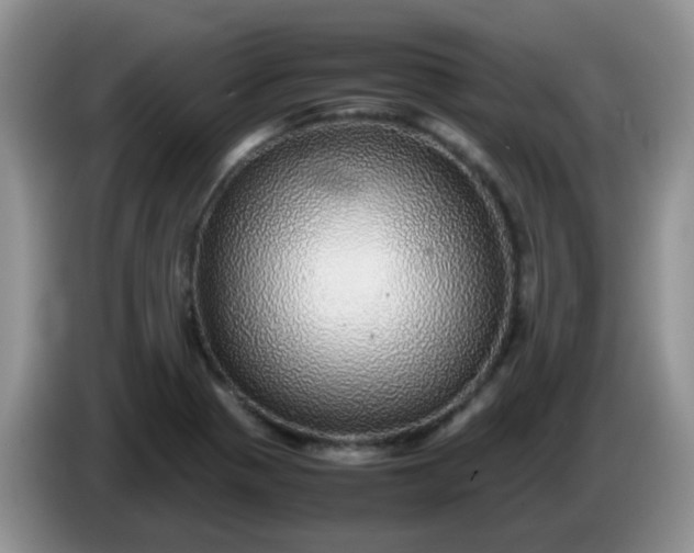 X0000086261321200704122003