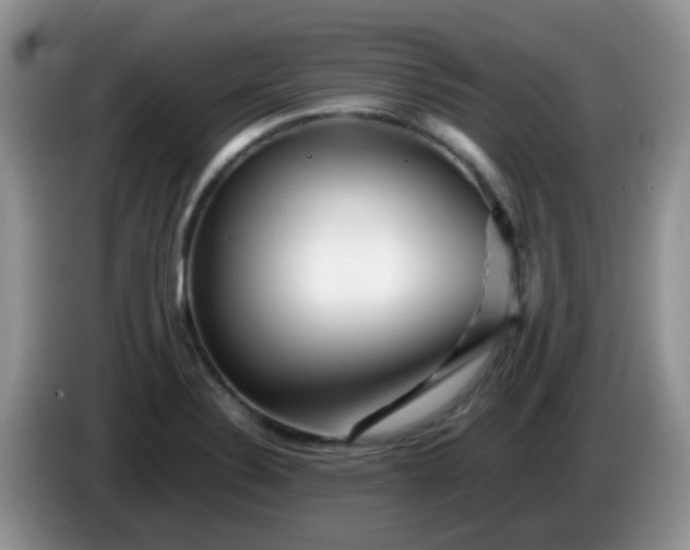 X0000086261324200704122003