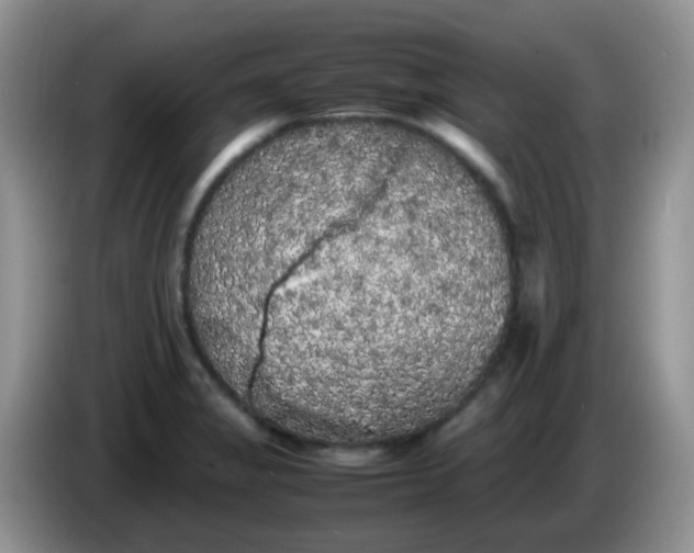 X0000086261325200704122003