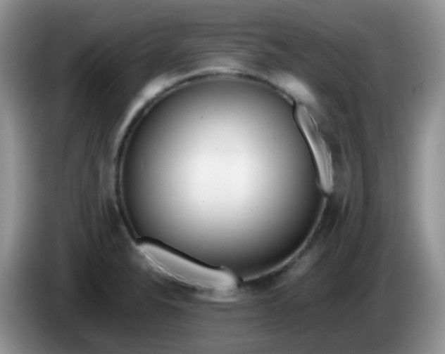 X0000086261326200704122003