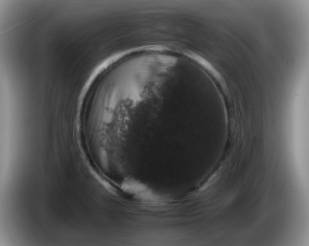 X0000086261327200704122003