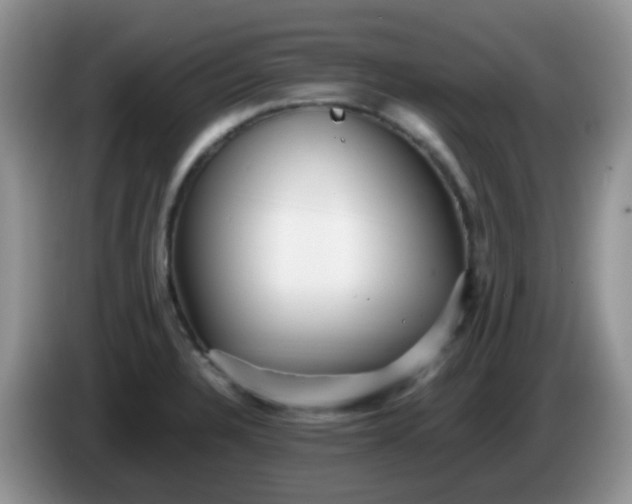 X0000086261328200704122003
