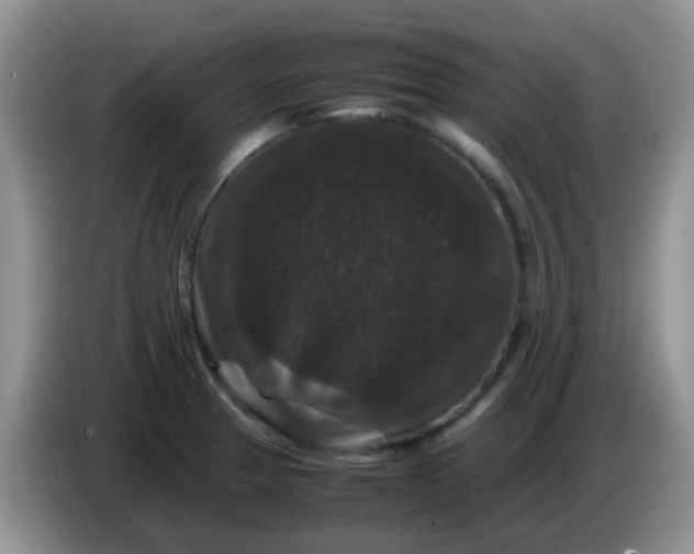 X0000086261329200704122003