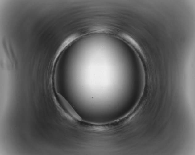 X0000086261330200704122003