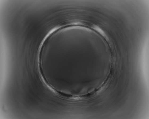X0000086261331200704122003