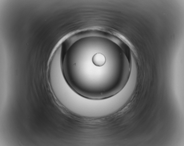 X0000086261332200704122003