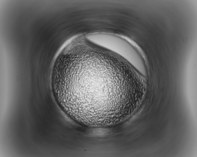 X0000086261333200704122003