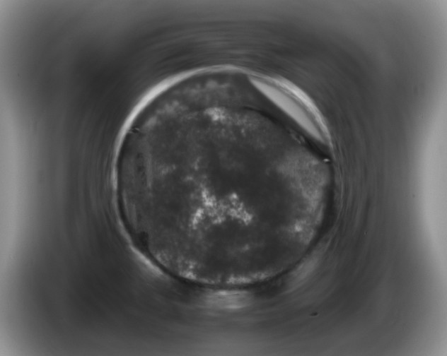 X0000086261335200704122003