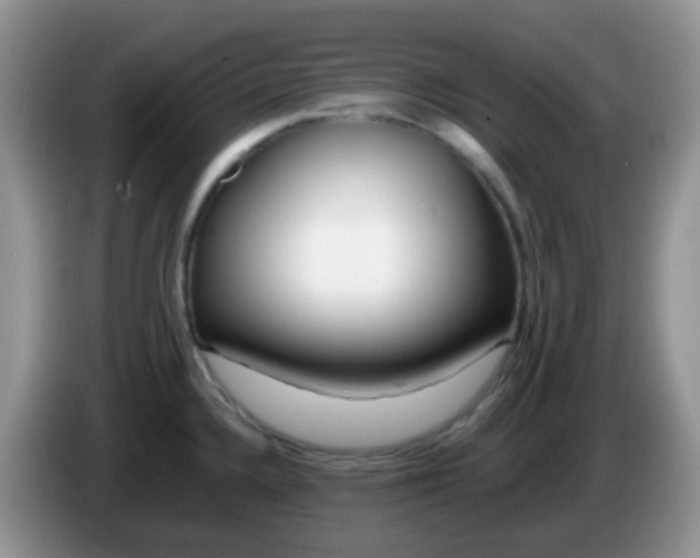 X0000086261336200704122003
