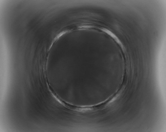 X0000086261337200704122003