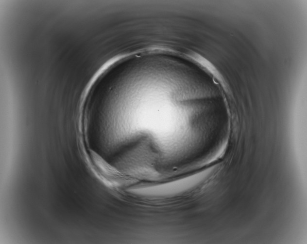 X0000086261339200704122003