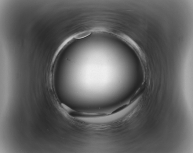 X0000086261340200704122003