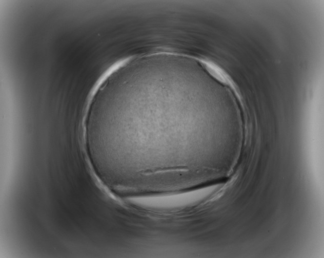 X0000086261341200704122003