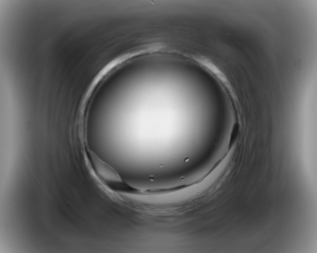 X0000086261342200704122003