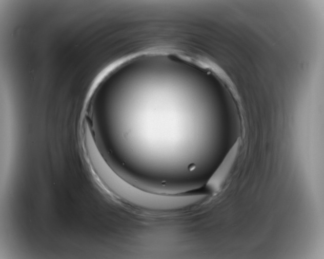 X0000086261344200704122003