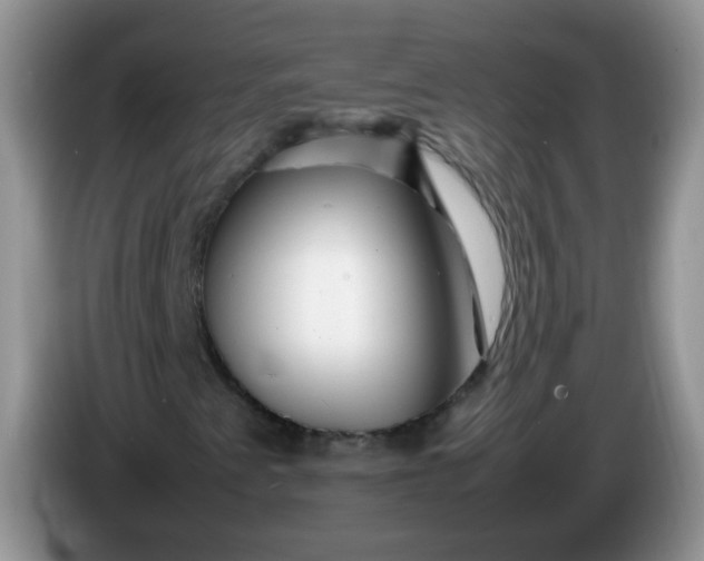 X0000086261345200704122003