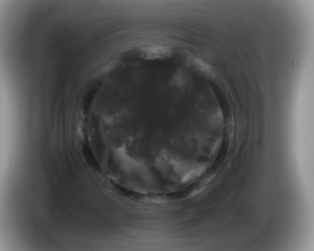 X0000086261346200704122003