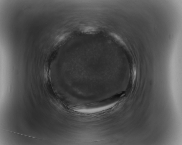 X0000086261348200704122003