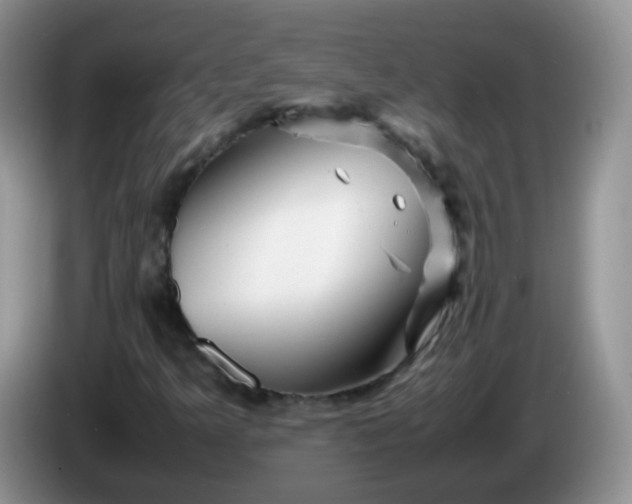 X0000086261349200704122002