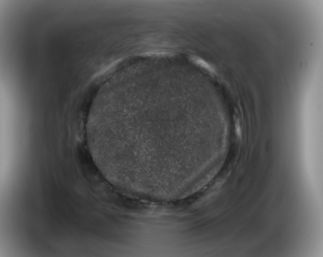 X0000086261350200704122002