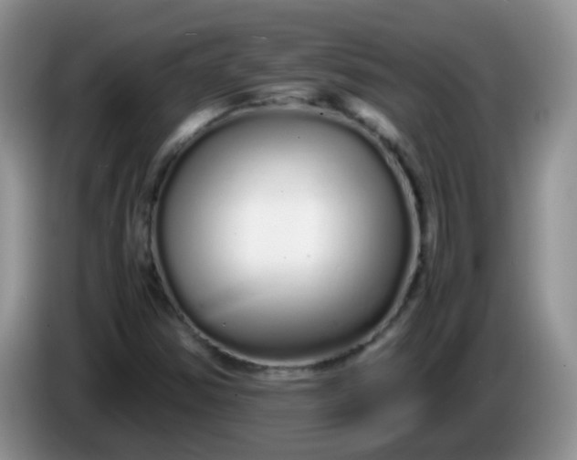 X0000086261354200704122002