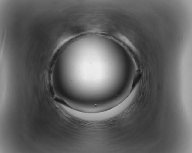 X0000086261356200704122002