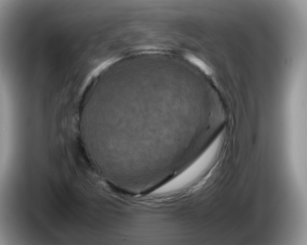 X0000086261357200704122002