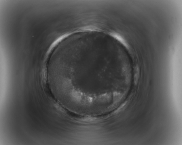 X0000086261358200704122002