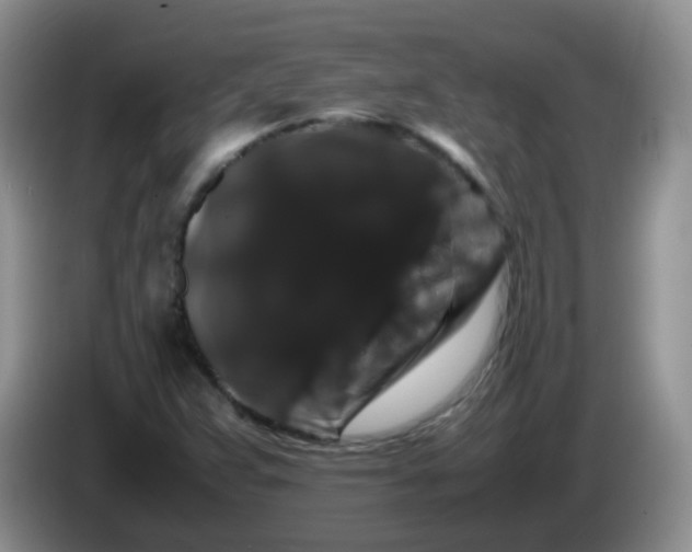 X0000086261359200704122002