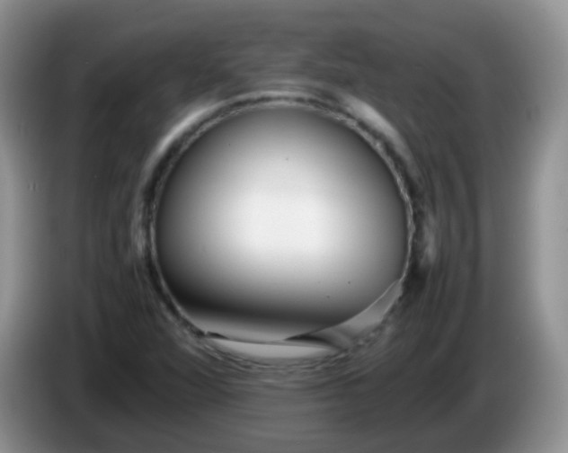 X0000086261360200704122002